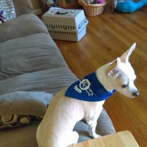 Meet your Posher, Joyce